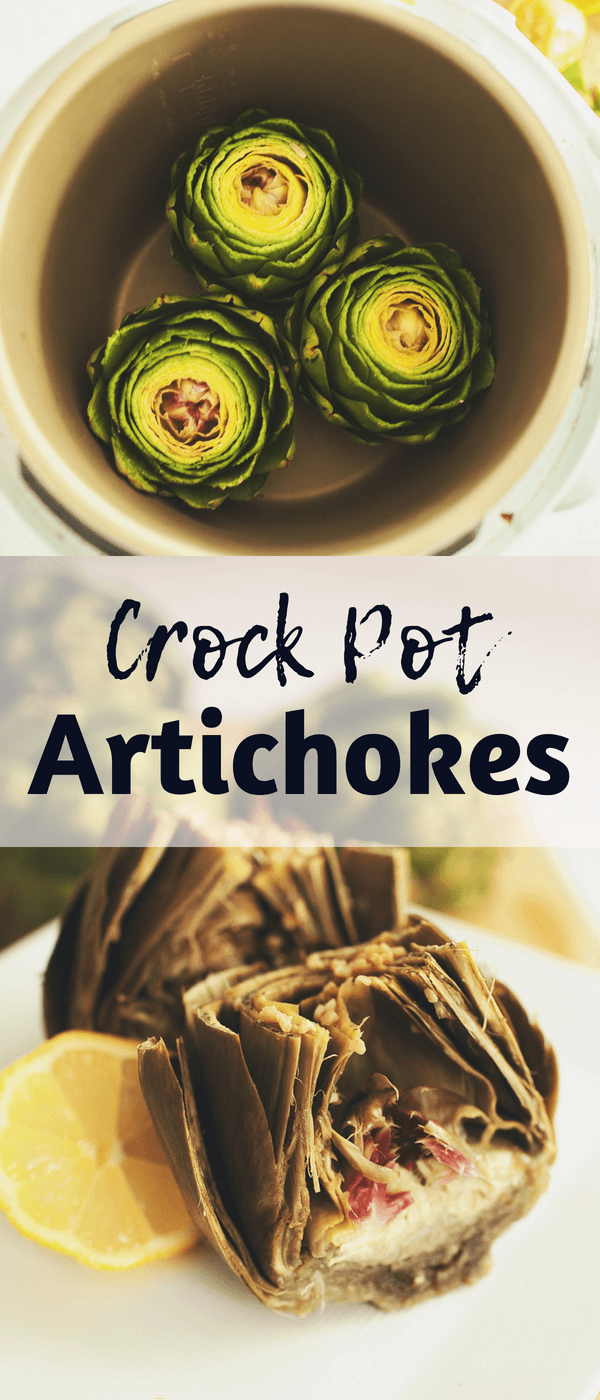 Crockpot Artichokes | How to cook artichokes in a slow cooker