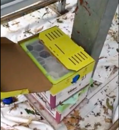 Screen-Shot-2014-05-27-at-6.07.14-PM