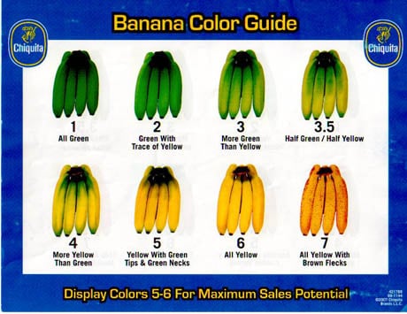Banana Buying Guide
