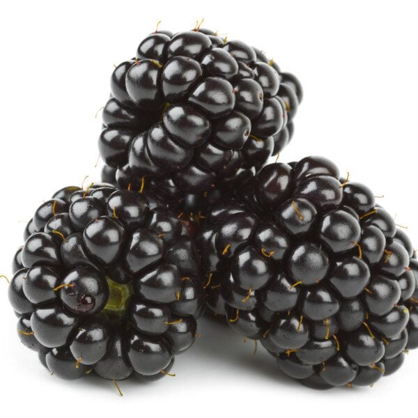 Blackberries