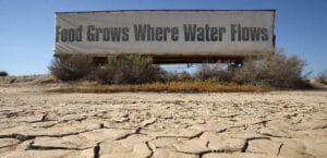 food grows where water flows
