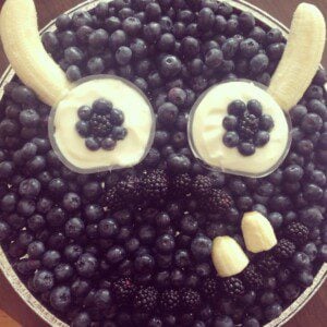 sulley