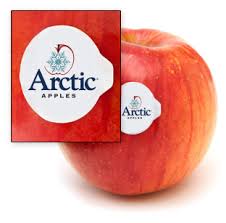 arctic apples