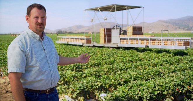 tony marci of naturipe farms