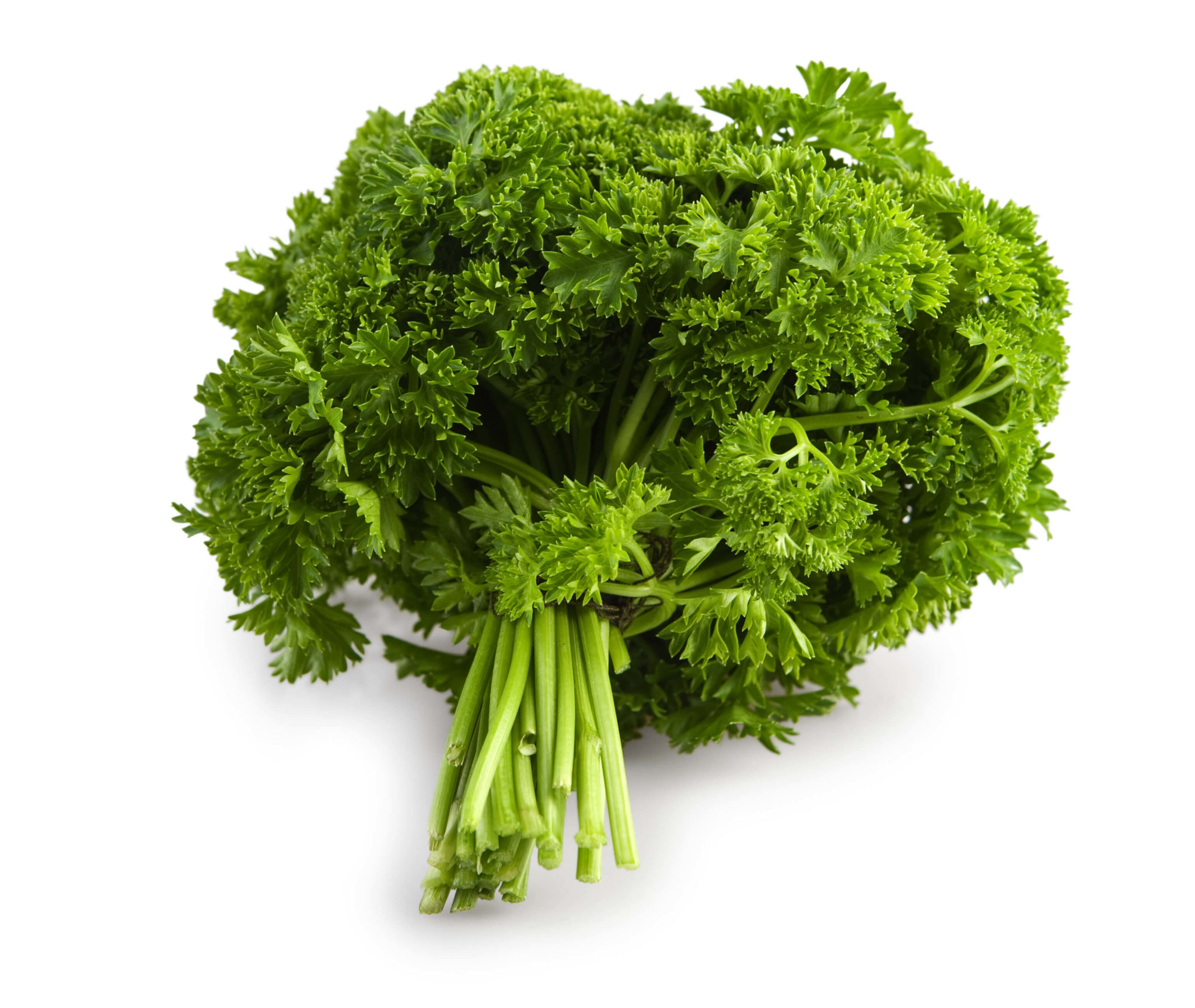 Cooking with Fresh Herbs: Parsley Cooking with Fresh Herbs: Tips for using parsley