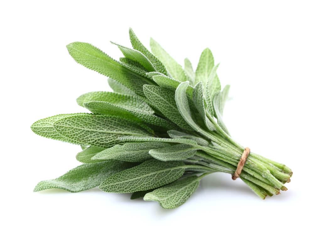 Cooking with Fresh Herbs: Sage Cooking with Fresh Herbs: Tips for using sage