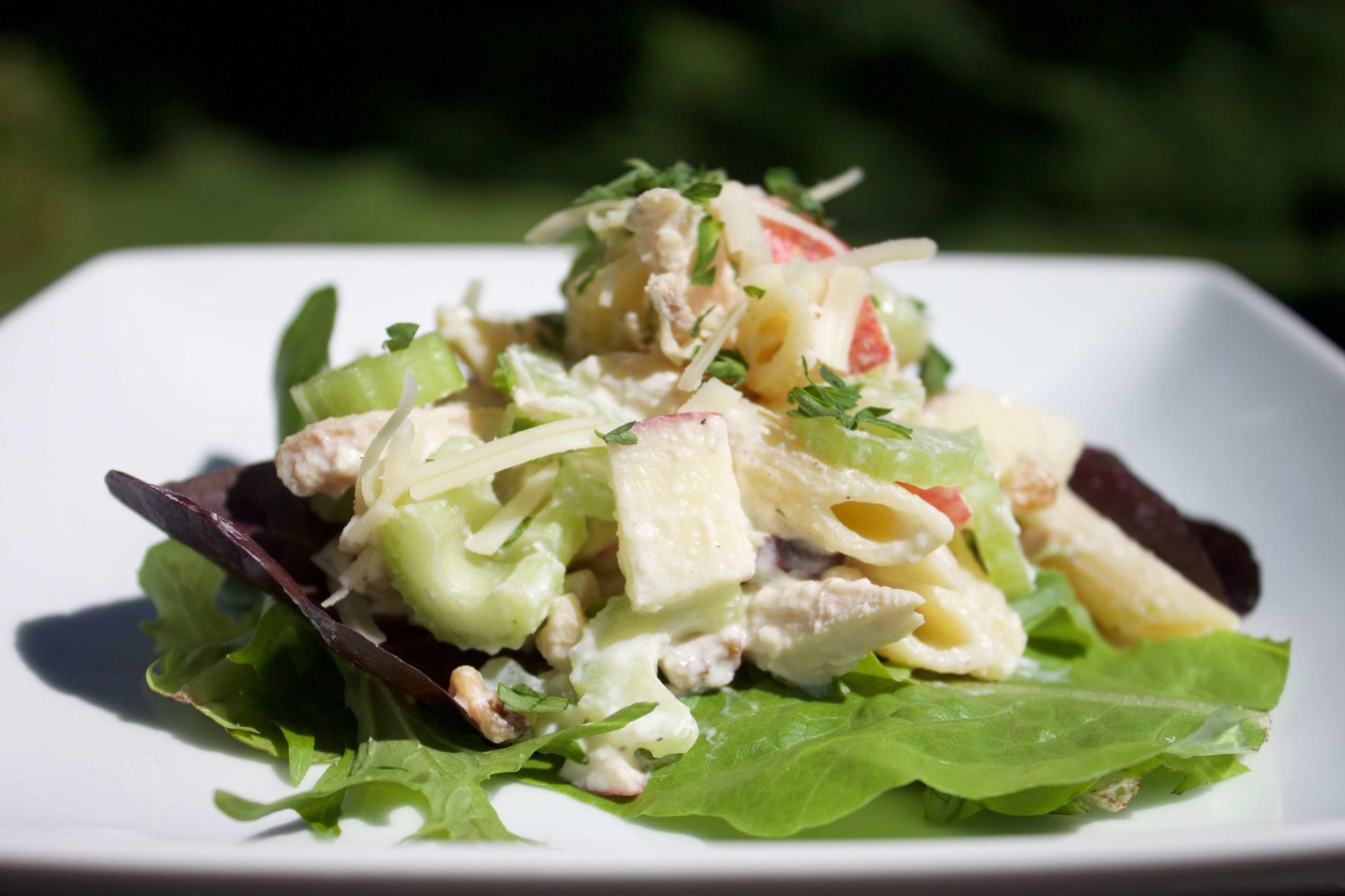 Celery And Apple Pasta Salad With Light Caesar Dressing Celery And Apple Pasta Salad With Light Caesar Dressing