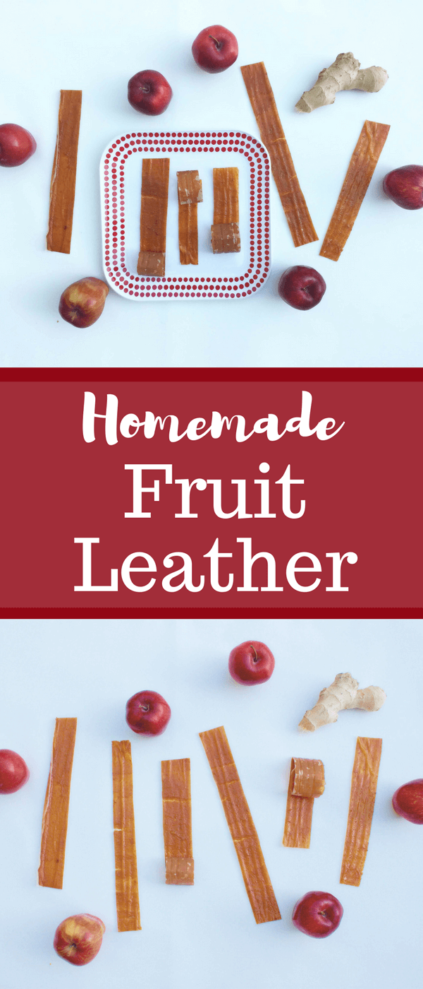 How To Make Fruit Leather