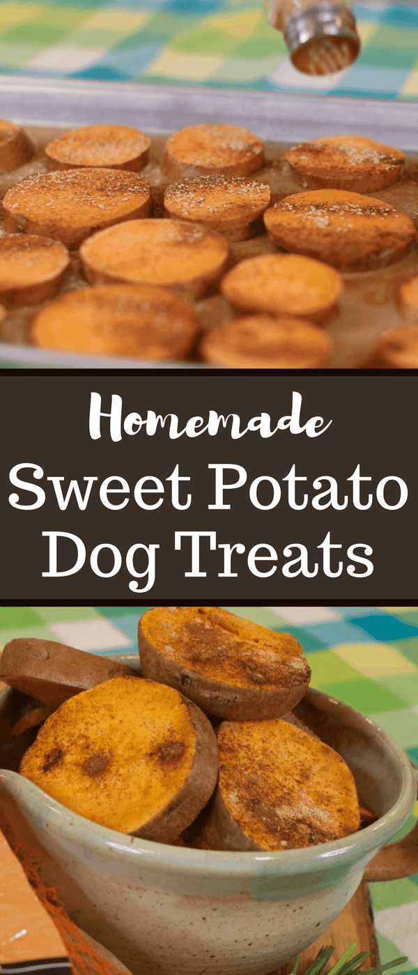 Homemade Sweet Potato Dog Treats Homemade Sweet Potato Dog Treats