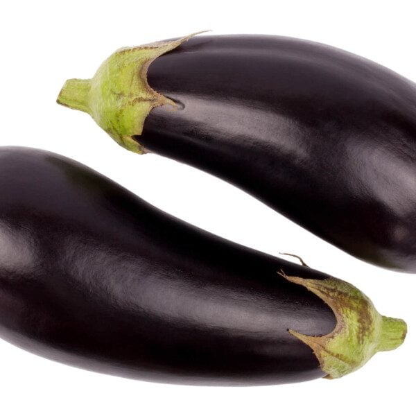 Eggplant