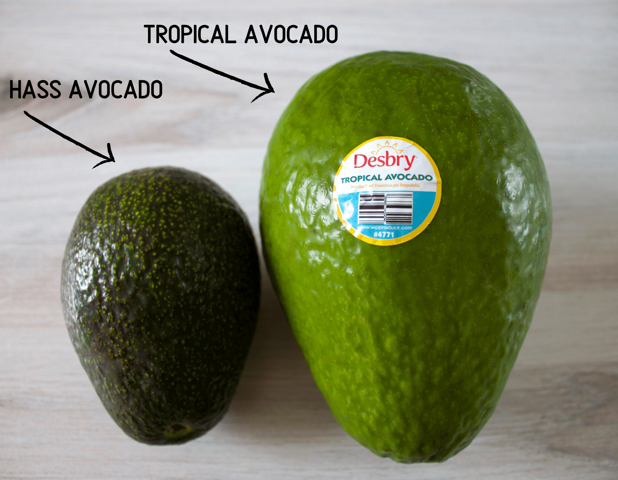 Haas vs tropical avocado 