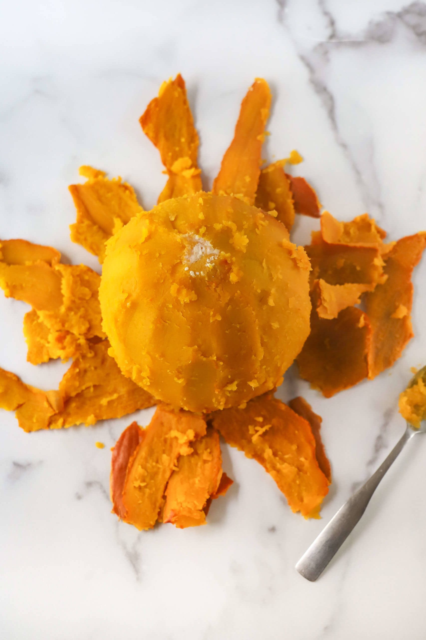 Instant Pot Pumpkin Puree