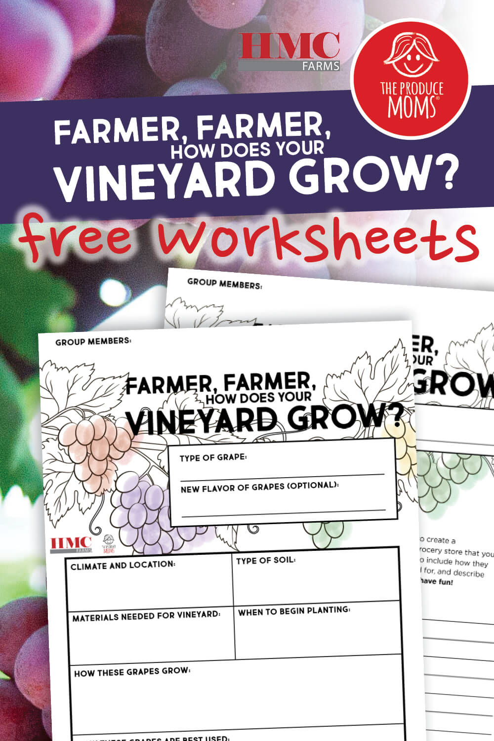 Farmer, Farmer, How Does Your Vineyard Grow? A Vineyard Lesson Plan