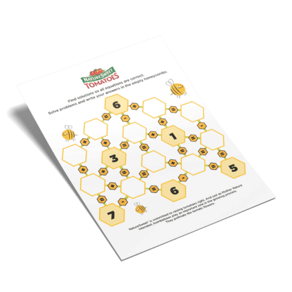 NatureSweet Bee Math 2 Thumbnail
