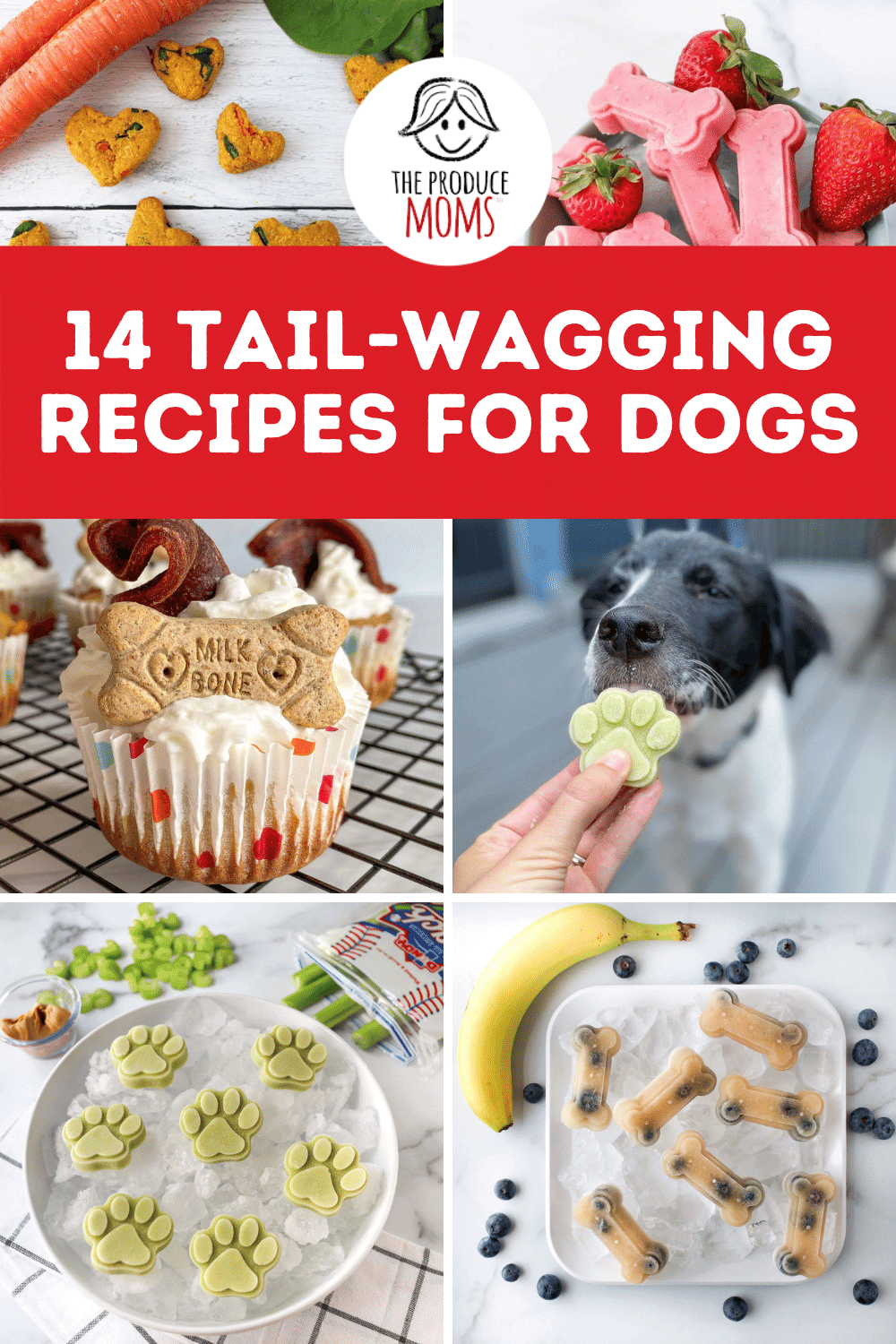 Recipes for Dogs Recipes for Dogs