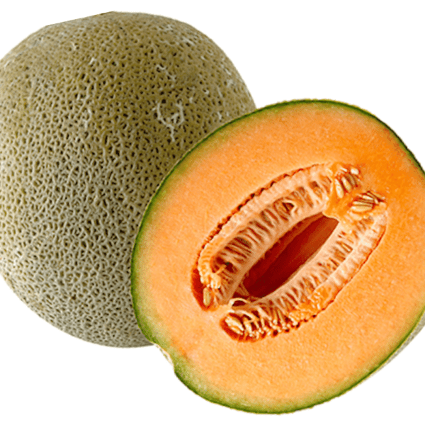 Cantaloupe