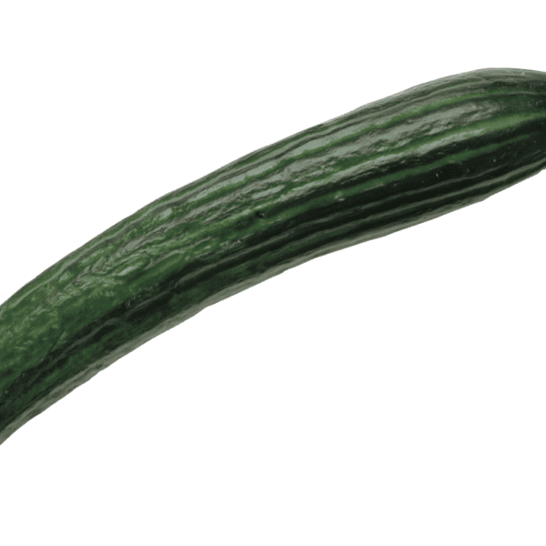 Cucumber