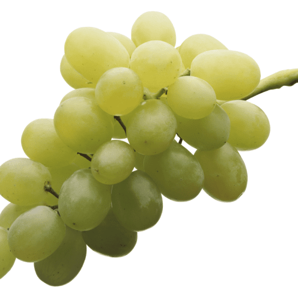 Grapes