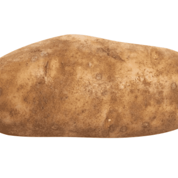 Potato