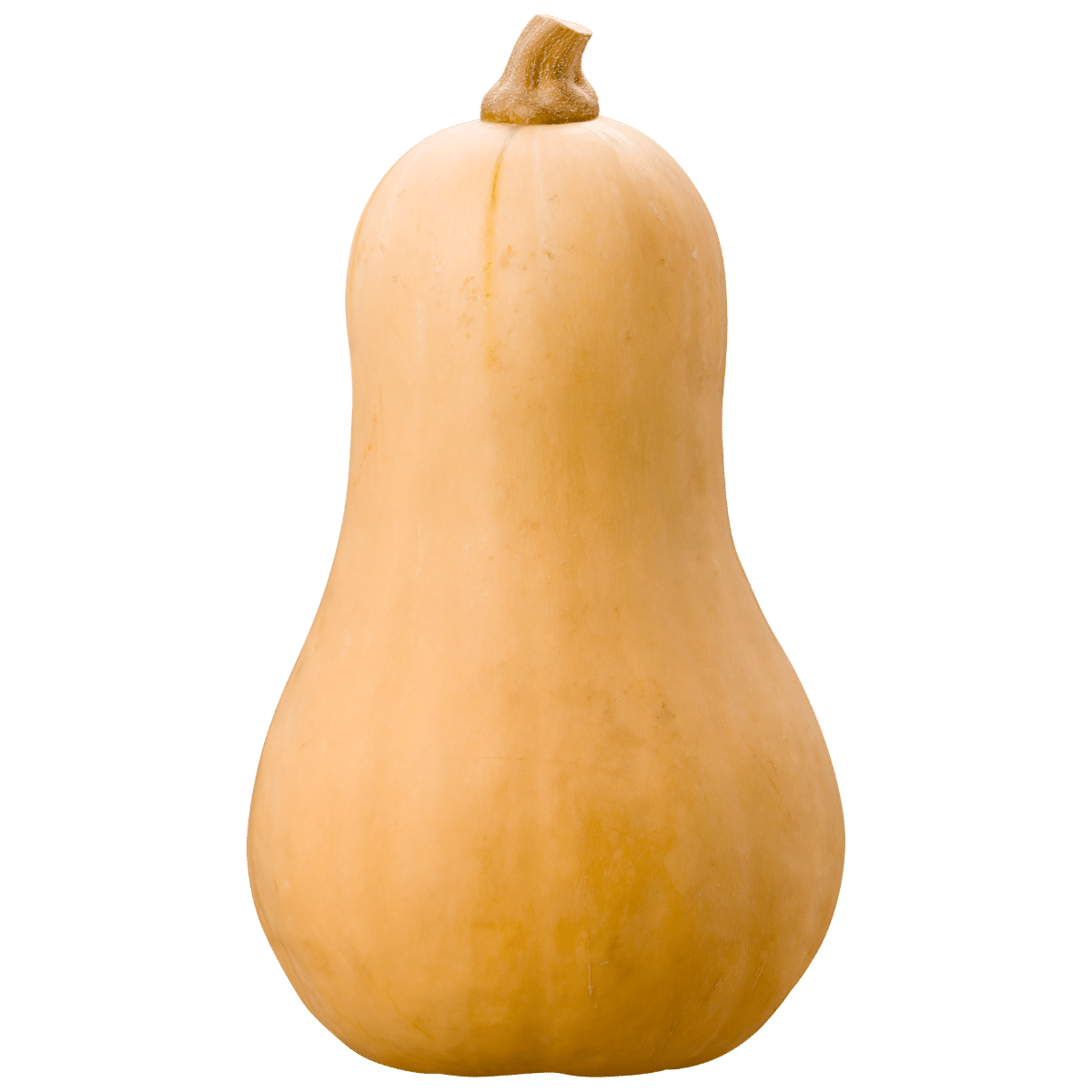 Butternut Squash