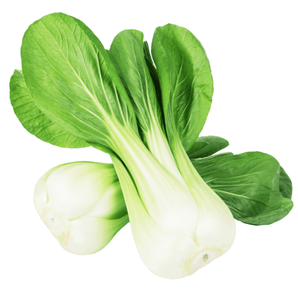 Bok Choy