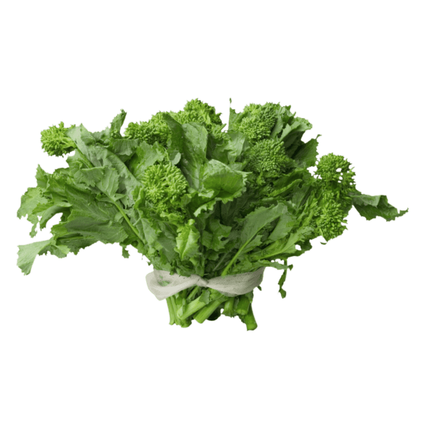 Broccoli Rabe