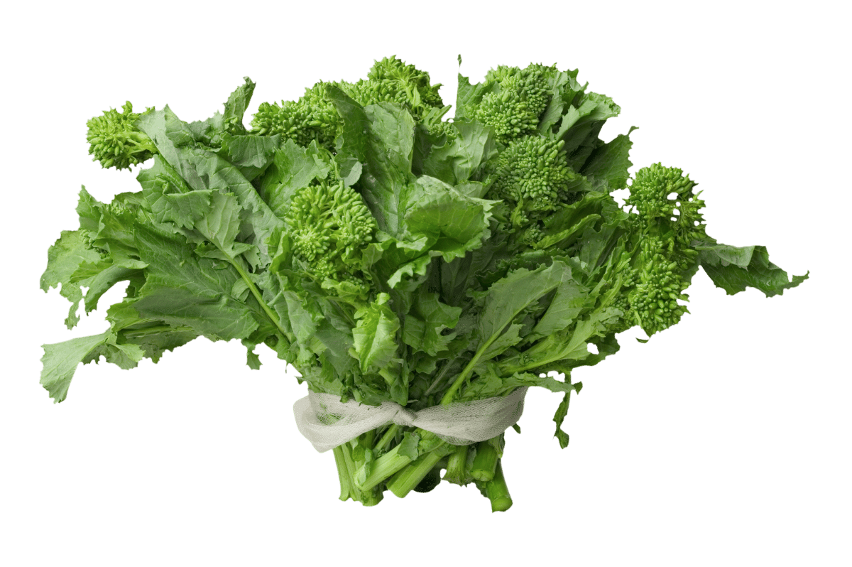 Broccoli Rabe