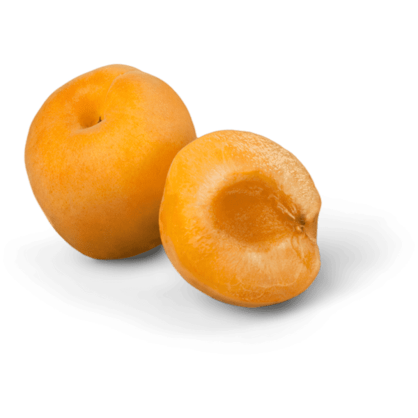 apricot