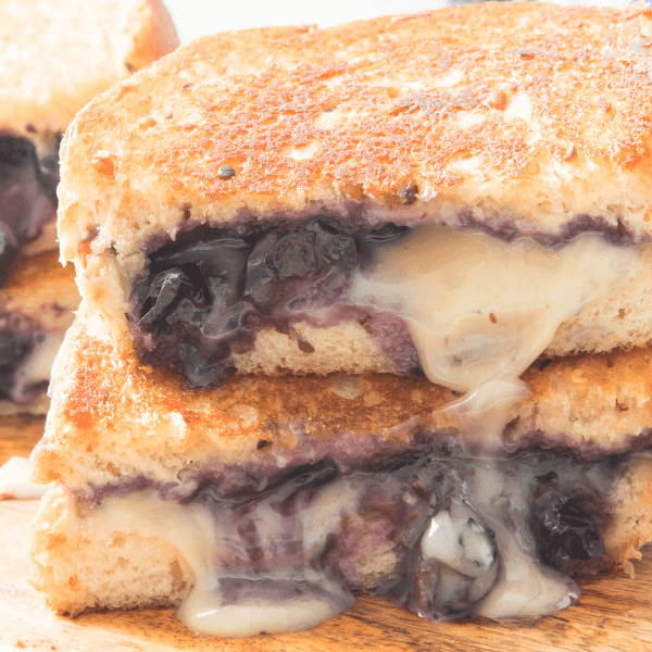 Blueberry Brie Grilled Cheese