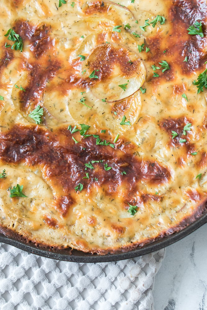 close up shot of au gratin potatoes topped with parsley