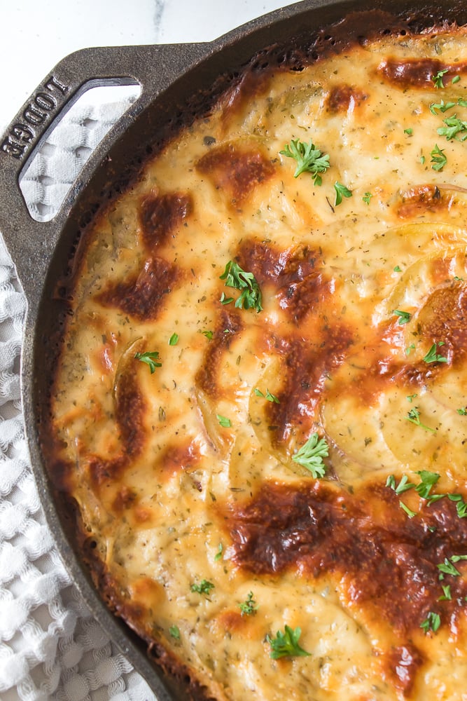 vertical overhead close up shot of cooked au gratin potatoes