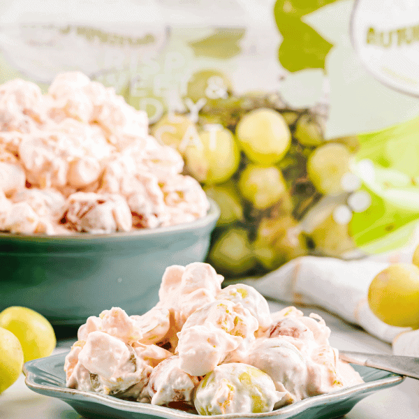 Ambrosia Salad on plate with bowl and AUTUMNCRISP® bag in background