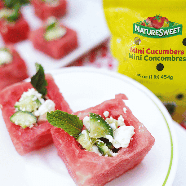 Blog Header Watermelon Salad Cups on white plate