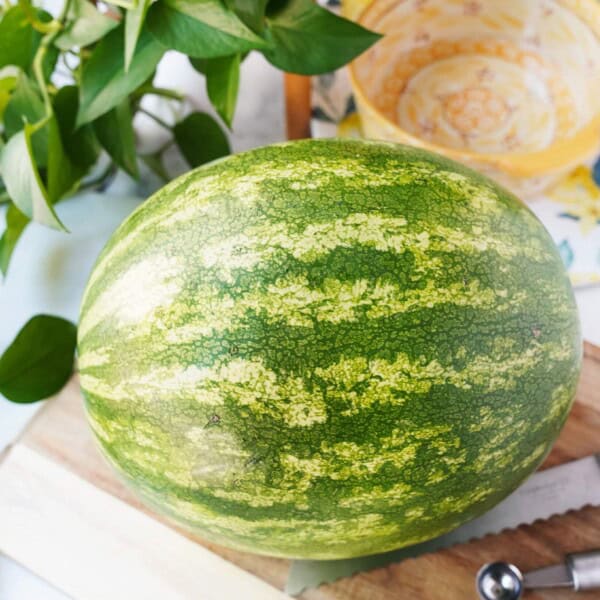 Whole watermelon for How to Pick a Good Watermelon