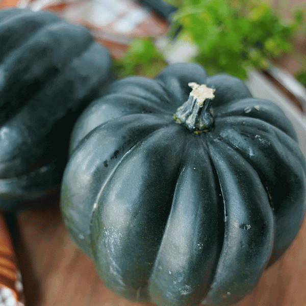 Blog Headers How to Cut Acorn Squash