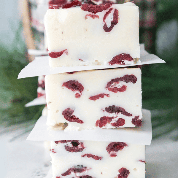 Blog Header Holiday Cranberry Fudge Stacked