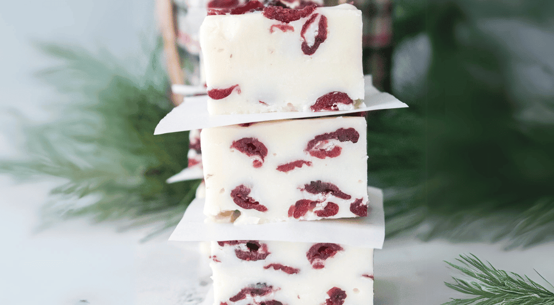 Blog Header Holiday Cranberry Fudge Stacked