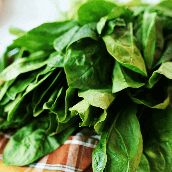 Blog Header How To Store Spinach