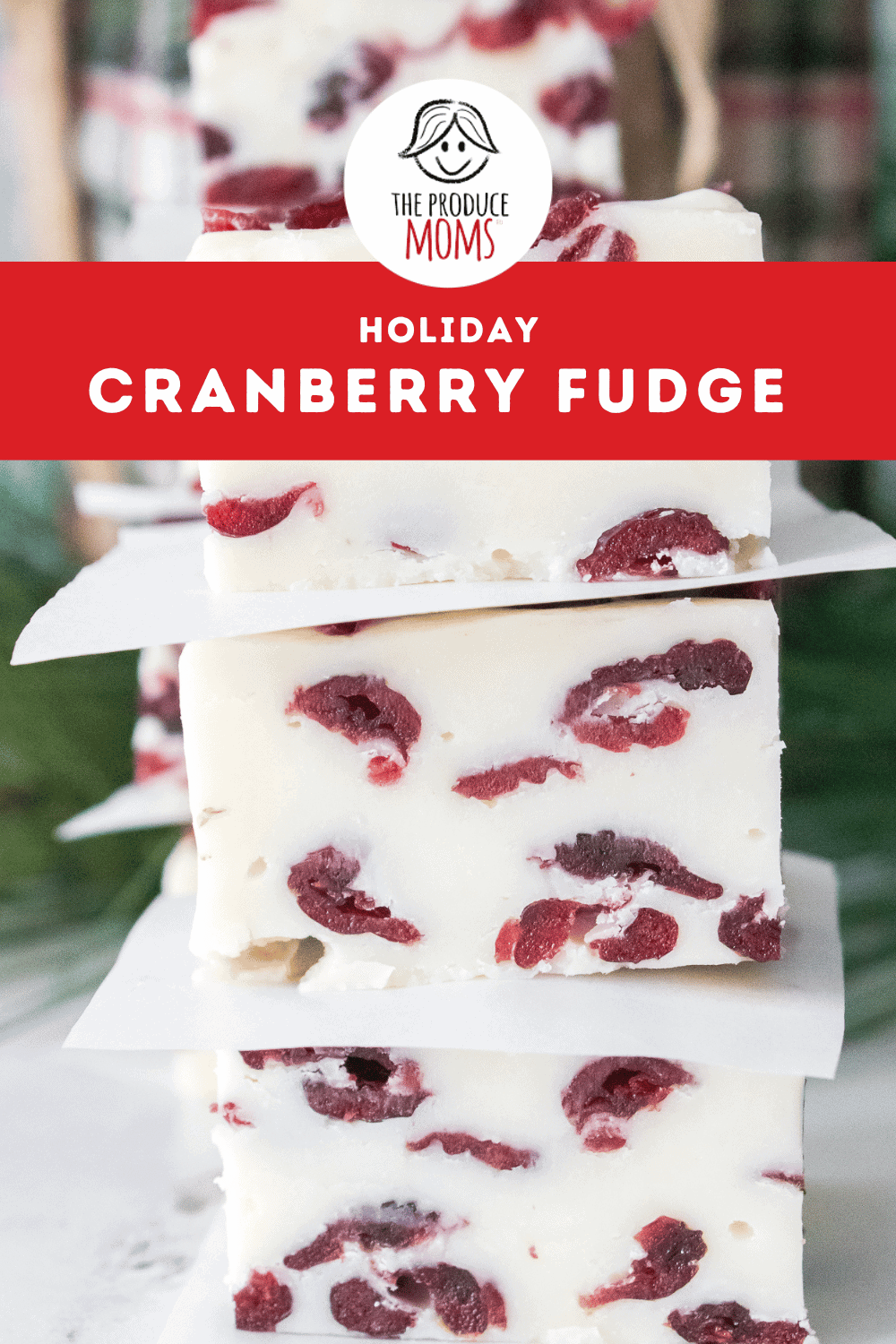 Pinterest Pin Holiday Cranberry Fudge