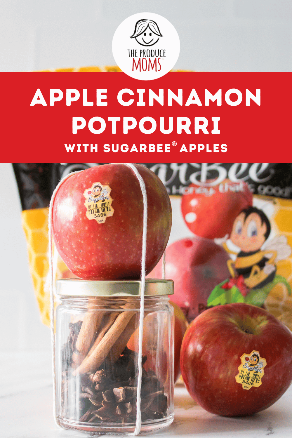 Pinterest Pin Apple Cinnamon Potpourri