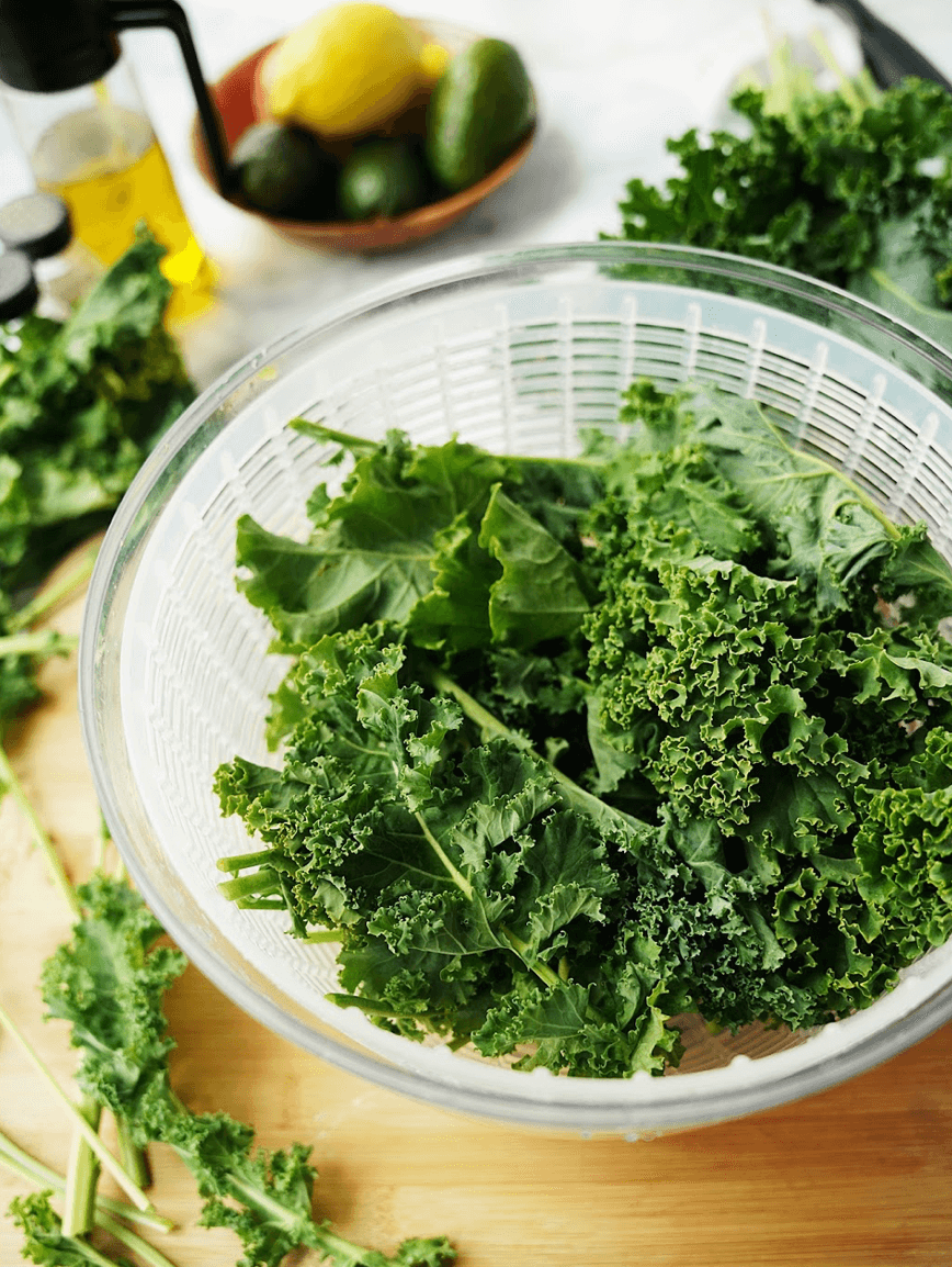 Vertical Kale in Spinner