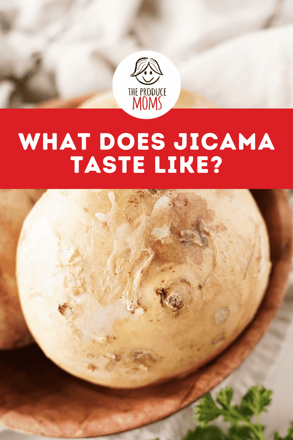 Pinterest Pin What Does Jicama Taste Like